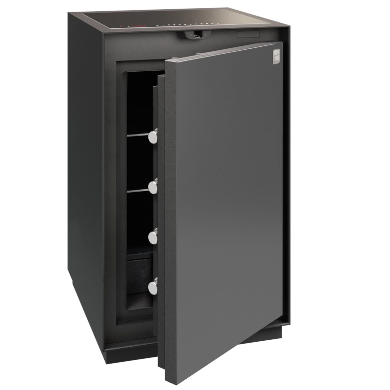 Phoenix Palladium LS8001EFB