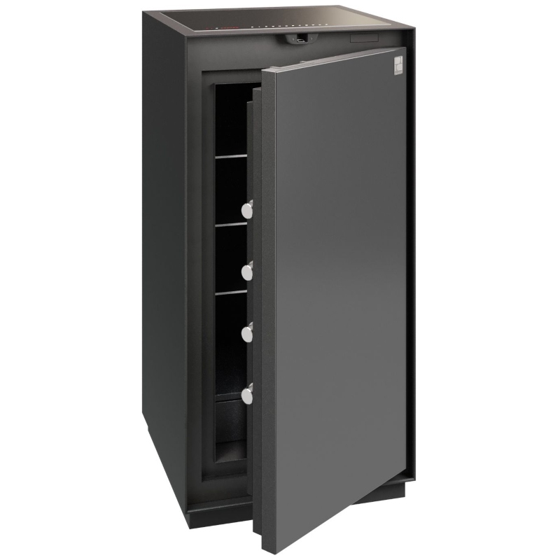 Phoenix Palladium LS8002EFB