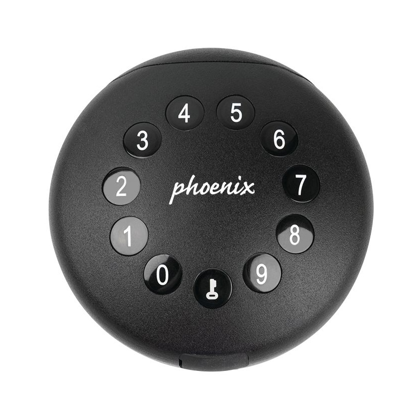 Palm KS0211E-2