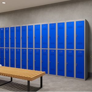 Phoenix 1 Column 2 Door Grey Body Blue Door Personal Locker - Add-On Column
