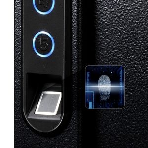 Phoenix Fingerprint Key Safe KS0021F
