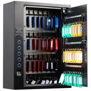 Phoenix Fingerprint Key Safe KS0021F