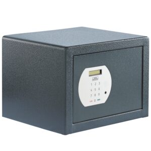 Burg Wachter Pure-Safe PS 120 E