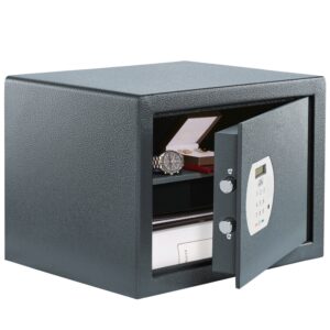 Burg Wachter Pure-Safe PS 130 E