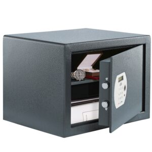 Burg Wachter Pure-Safe PS 130 E FP