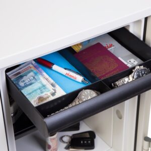Phoenix Titan II FS1282E Fire Safe