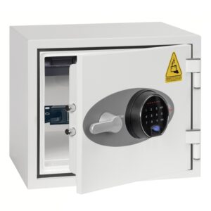 Phoenix Battery Titan BS1281F