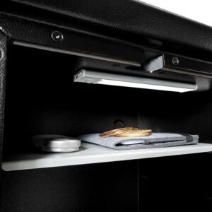 Burg Wachter Profi Safe 540 E