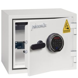 Phoenix Battery Titan BS1281F