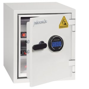 Phoenix Battery Titan BS1282E