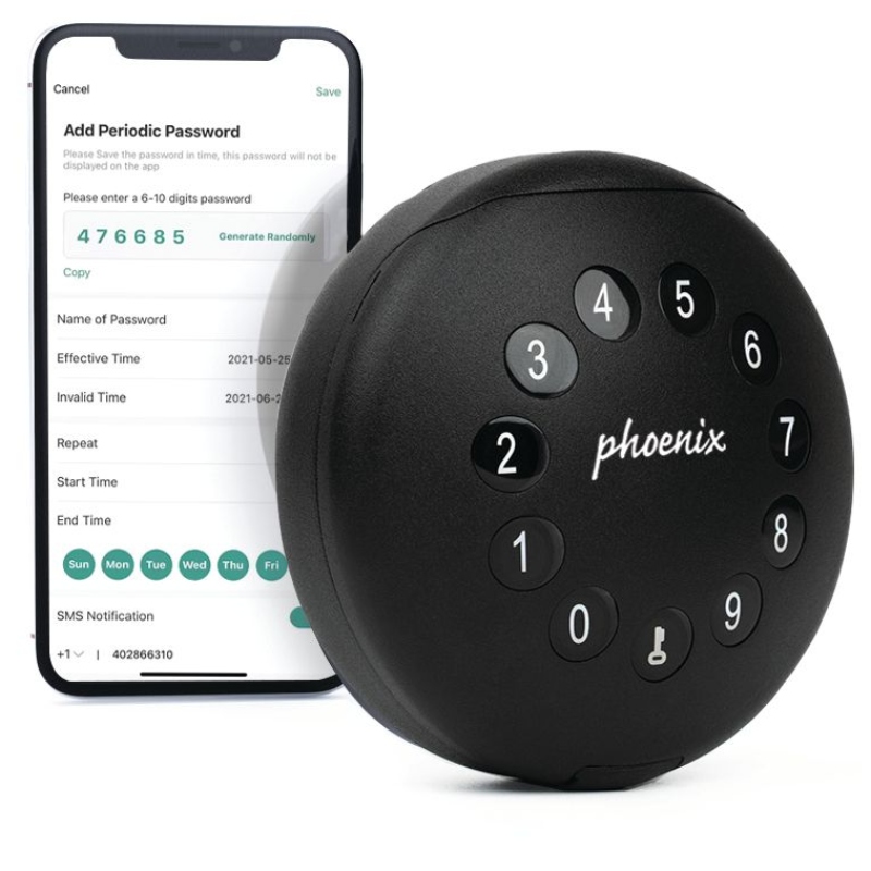 Phoenix Palm KS0211E